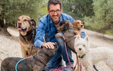 Dog walking