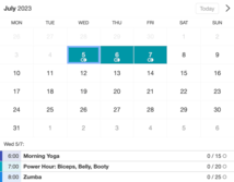 Example of a SuperSaaS widget-type schedule on a tablet device for yoga or Pilates classes